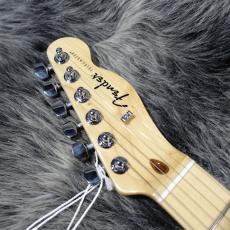 Fender Standard Telecaster Butterscotch Blonde_4