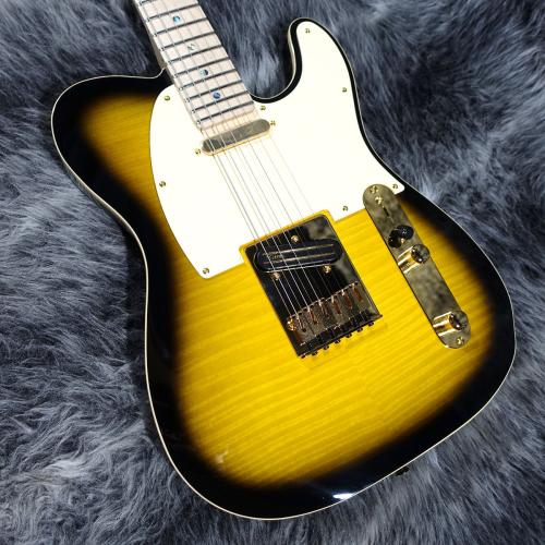 Fender Richie Kotzen Telecaster Brown Sunburst