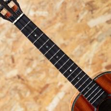 Kamaka HF-3 D2I 2021_6