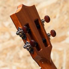 Kamaka HF-3 D2I 2021_9