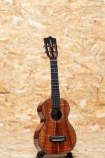 Kamaka HF-2 D2I 2021_3