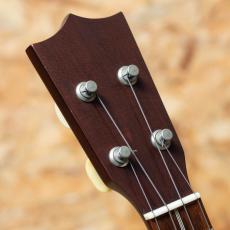 Martin Style-3 Cherry 2010_8