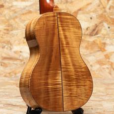 Tony Graziano Concert Koa 2010's_2