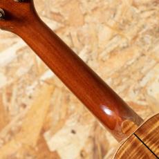 Tony Graziano Concert Koa 2010's_7