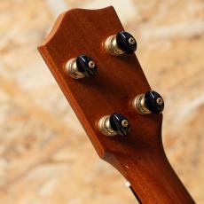 Tony Graziano Concert Koa 2010's_9