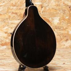 Gibson A-00 1937_2