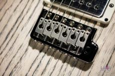 Paul Reed Smith [PRS] Swamp Ash Special Jasper Smokeburst (Pattern Regular Neck) 2025_5