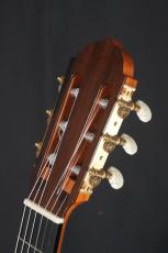 井内耕二 松/ハカランダ単板　20F仕様_4