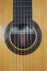 井内耕二 松/ハカランダ単板　20F仕様_5