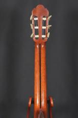 茶位幸信 NP-30S  松/ローズウッド単板　ワンオーナー品_6