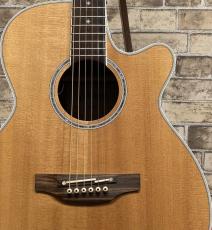 Takamine 2015年製　Takamine 100CUSTOM 【送料無料】