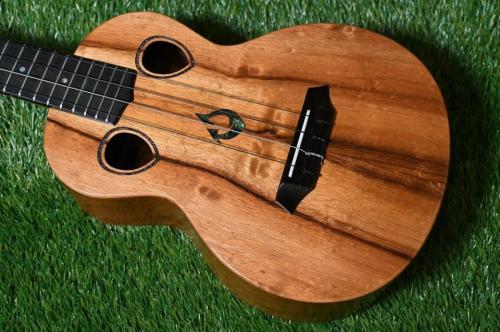 G String T4 DH Tenor