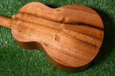 G String T4 DH Tenor_2