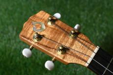 G String T4 DH Tenor_5