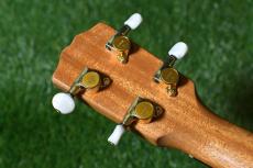 G String T4 DH Tenor_6