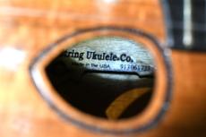 G String C1 DH Double Hole Concert #2【OUTLET】_15