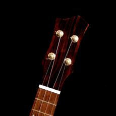 Lotus Acoustics Concert Custom - Tulipwood / Hawaiian koa -_12