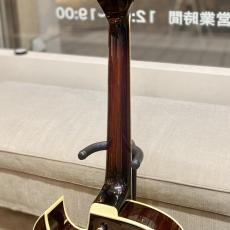 Ibanez Artcore Deluxe AK86 DVS_6