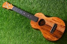 KoAloha KCM-10/UPT Pikake Concert_2