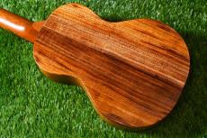 KoAloha KCM-10/UPT Pikake Concert_3