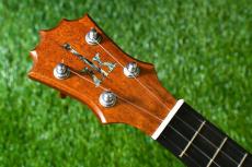 KoAloha KCM-10/UPT Pikake Concert_5