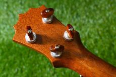 KoAloha KCM-10/UPT Pikake Concert_6