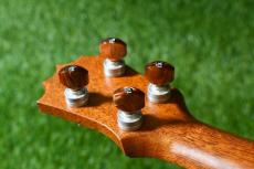 KoAloha KCM-10/UPT Pikake Concert_7