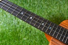 KoAloha KCM-10/UPT Pikake Concert_8