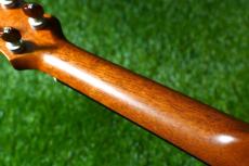 KoAloha KCM-10/UPT Pikake Concert_9