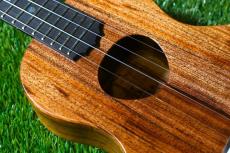 KoAloha KCM-10/UPT Pikake Concert_10