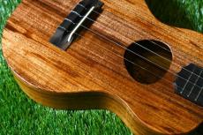 KoAloha KCM-10/UPT Pikake Concert_11