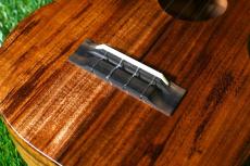 KoAloha KCM-10/UPT Pikake Concert_12