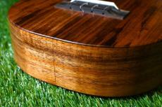 KoAloha KCM-10/UPT Pikake Concert_13