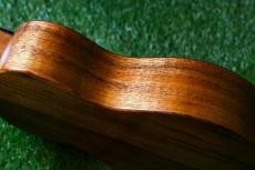 KoAloha KCM-10/UPT Pikake Concert_14