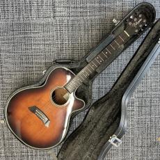Takamine PT-106_2