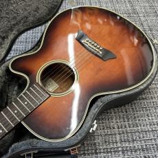 Takamine PT-106_5