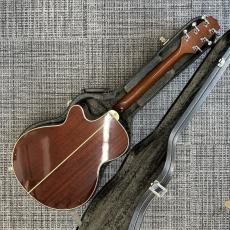 Takamine PT-106_3