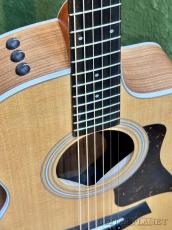 Taylor 212ce Walnut #2206125397【48回迄金利0%対象】【送料当社負担】_3