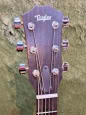 Taylor 212ce Walnut #2206125397【48回迄金利0%対象】【送料当社負担】_4