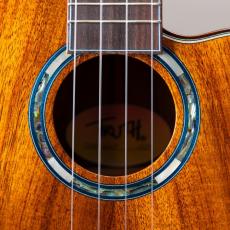 Truth TKE-2407 Rose Binding_4