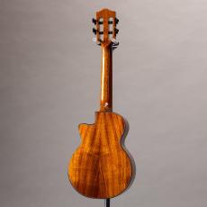 Truth TKE-2407 Rose Binding_12