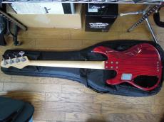 ESP AP-SL_4