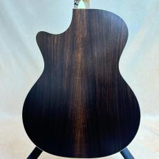 Martin GPC-16E Rosewood #3012849  【送料当社負担・最大48回分割無金利】_3