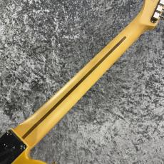 Fender 【2025クライマックスセール】Player II Telecaster  -Butterscotch Blonde- S/N MX25013672_7