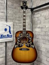 Gibson Hummingbird Original Double Pickguard -Iced Tea Burst-_2