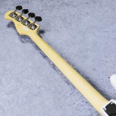 FUJIGEN BCJB100RBD - Snow White -【4.11㎏】【#D240706】_9