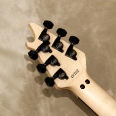 EVH MIJ Series EVH Signature Wolfgang, Ebony Fingerboard, Stealth_5