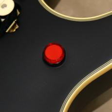 EVH MIJ Series EVH Signature Wolfgang, Ebony Fingerboard, Stealth_8