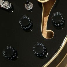 D'Angelico Premier Series SS, Black Flake_8