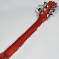 Heritage STD H-150_4